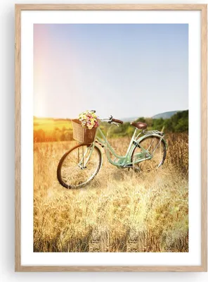 Produktbild von Gerahmtes Poster - Rahmen in heller Eiche - Fahrrad Wiese Blumen - 50x70 cm - Wand Bild - Wanddeko - Wandbilder - Wandposter - Bilderrahmen - Bilder - Kunstdruck - Wandbild - P2NPA50x70-4206