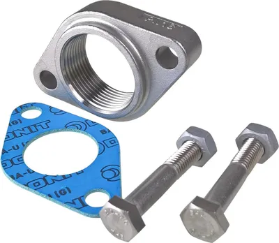 Produktbild von Grundfos Ovalflansch, Rp1, 1/4 Edelstahl für Kreiselpumpen, 1 Stk.