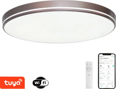 A ceiling light fixture with a remote control and a smartphone displaying a smart home app.