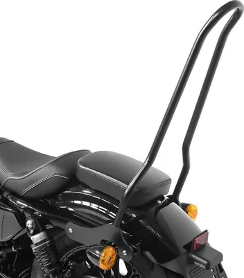 Image de Sissybar pour Harley Davidson Sportster 04-20 # Tampa