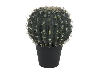 Obrázek produktu pro Europalms Kugelkaktus Kunstpflanze 34cm 82600063