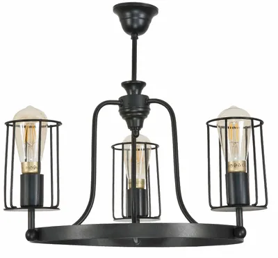 Produktbild von Industrielle Loft Deckenleuchte schwarz TORI 12-442