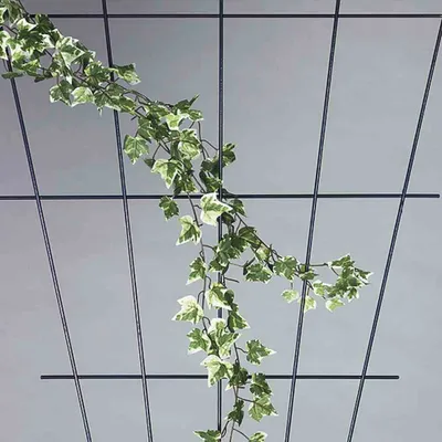 Image de Palissade pour rosiers 51000 150x75 cm vert