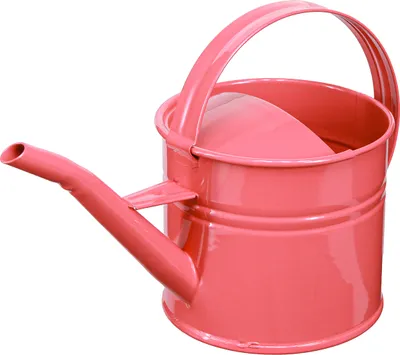 Produktbild von Deko Gießkanne aus Metall für Pflanzen und Blumenarrangements