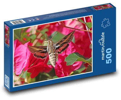 Zdjęcie produktu dla martinpuzzle - Puzzle 500 - Kolibřík - motyl, kwiat