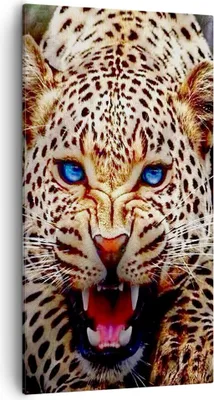 Produktbild von Bild auf Leinwand - Leinwandbild - Panther Tier - 55x100cm - Wand Bild - Wanddeko - Wandbilder - Leinwanddruck - Bilder - Kunstdruck - Wanddekoration - Leinwand bilder - Wandkunst - PA55x100-3506