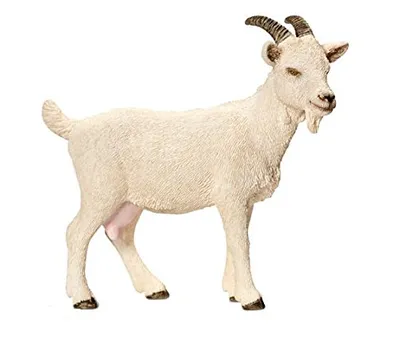 Produktbild von Schleich Hausziege