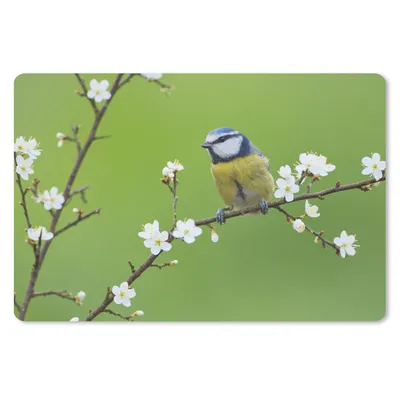 Produktbild von MuchoWow® Mauspad Mousepad Blaumeise - Zweig - Blumen - Blühende Zweige - Vogel 27x18 cm - Mousepads - Maus Mat - Pad - Mausunterlage - Büroartikel - Desk Matten