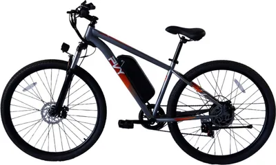 Produktbild von PVY M29 Elektrisches Fahrrad - 250W Motor 48V17.5Ah Batterie 29 Zoll Mechanischen Scheibenbremsen  - Grau