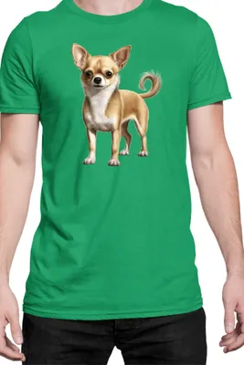 Produktbild von Herren T-Shirt Dogs Breeds Chihuahua Dog Breed 005, Man M / Grün