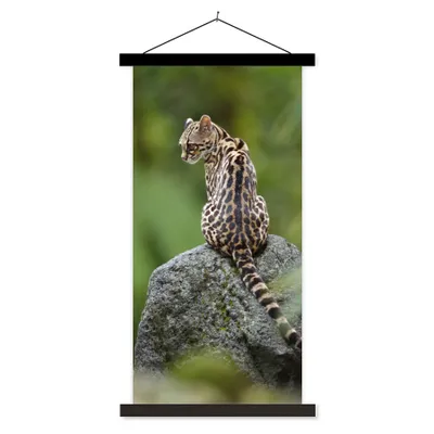 Produktbild von MuchoWow® Textilposter Baumkatze auf Stein 90x180 cm mit schwarzem Rahmen - Dekoration Wohnzimmer