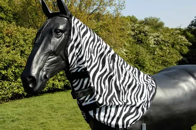 Produktbild von Waldhausen Fliegenhalsdecke Zebra