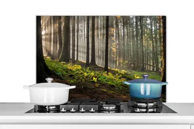 Obrázok produktu pre MuchoWow® Splashback Kuchyňa - Kuchynský backsplash - Ochrana steny pre sporák a drez Slnko - vetvy - stromy - les - príroda 90x60cm Alu-Dibond