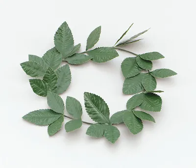 Produktbild von Grüner Lorbeerblatt Stirnband Kostümzubehör
