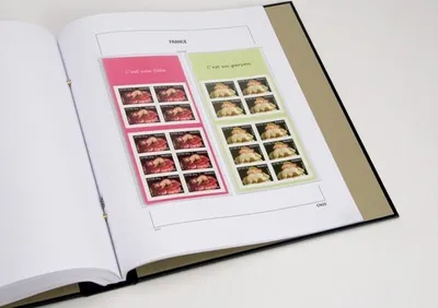 Produktbild von DAVO 13795 Luxus Nachtrag Frankreich Heftchen 2005