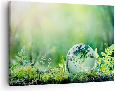 Produktbild von Bild auf Leinwand - Leinwandbild - natur natur - 70x50cm - Wand Bild - Wanddeko - Wandbilder - Leinwanddruck - Bilder - Kunstdruck - Wanddekoration - Leinwand bilder - Wandkunst - AA70x50-4041