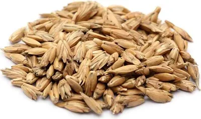 Immagine prodotto di #DoYourYoga Biologico Spelta per imbottitura e ricarica di cuscini e cuscini cilindrici 10 kg KBA Spelta adatta per cuscini cilindrici da yoga Pulita e spolverata