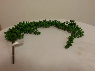 Produktbild von Deko Zweig, Hänger Agave L. 65cm grün Formano