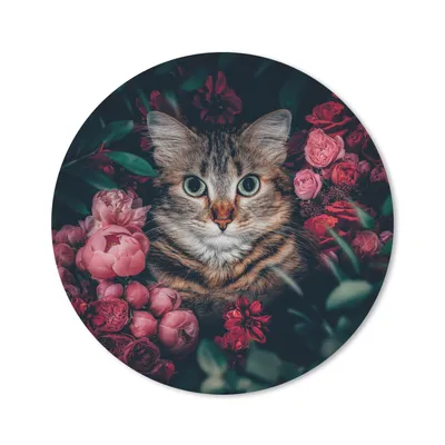 Produktbild von MuchoWow® Mauspad Mousepad Katze - Blumen - Tiere - Botanisch 30x30 cm - Mousepads - Maus Mat - Pad - Mausunterlage - Tischunterlage - Schreibtischmatten