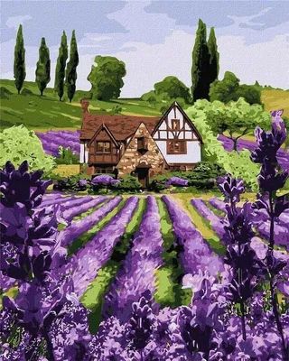Obrázok produktu pre Maľovanie podľa čísel: Levanduľový domček, 40 x 50 cm