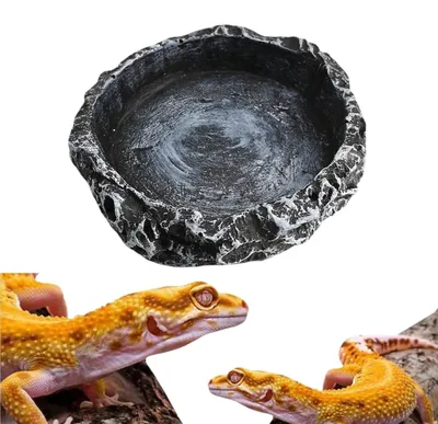 Productafbeelding van Reptielen waterschaal voor terrarium, 8 cm, voer- en drinkschaal van hars