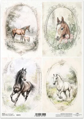 Immagine prodotto di ITD carta di riso decoupage tecnica artigianale tovagliolo di carta-R2572 cavalli