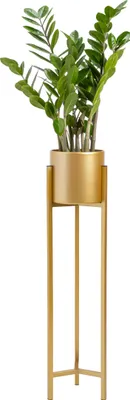 A potted plant on a gold metal stand against a white background.