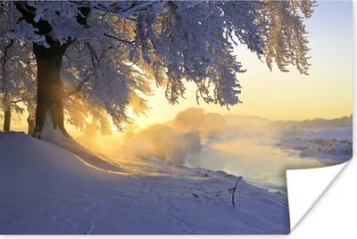 Produktbild von MuchoWow® Poster Ein verschneiter Baum mit Landschaft 120x80 cm - Bilder