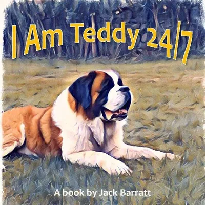 Produktbild von I Am Teddy 24/7