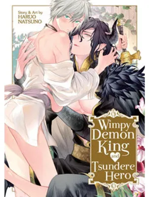 Image de Le roi démon timoré et le héros tsundere