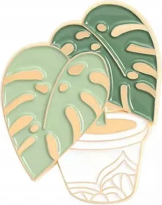 Immagine prodotto di PINETTI Pianta di Monstera in vaso d'oro
