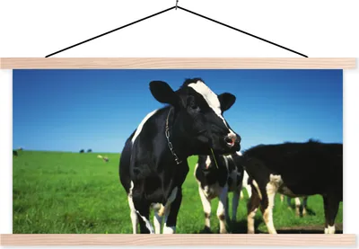 Produktbild von MuchoWow® Textilposter Kuh - Gras - Tiere 60x30 cm mit holzfarbenen Rahmen - Dekoration