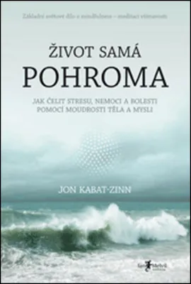 Zdjęcie produktu dla Život samá pohroma | Libor Válek