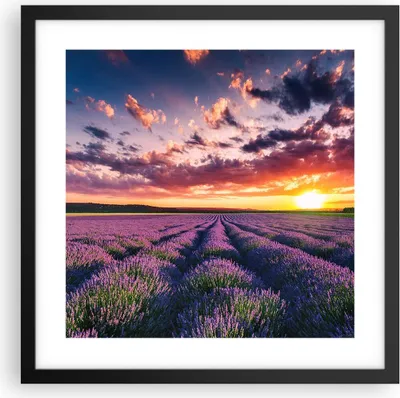 Produktbild von Gerahmtes Poster - Schwarzer Rahmen - Lavendel Berge Feld - 40x40 cm - Wand Bild - Wanddeko - Wandbilder - Kunstposter - Wandposter - Bilderrahmen - Bilder - Kunstdruck - Wandbild - P2BAC40x40-3816