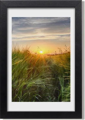 Produktbild von Bild 20x30 MDF-Rahmen, Wandkunst Weizenfeld