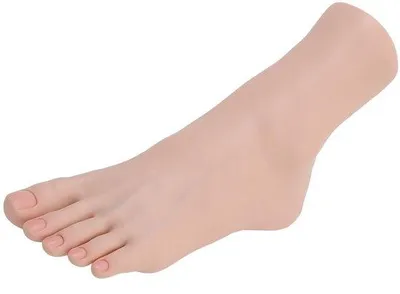 Productafbeelding van Professioneel siliconen displaymodel - Realistische spier- en zenuwstructuur - Nagelachtige vorm - Etalagepop