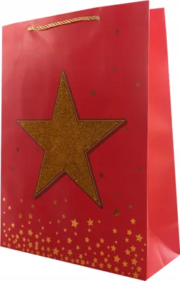 Produktbild von Weihnachts Geschenktüte Stern 26x32cm Papiertüte Bunt Festliche Verpackung Stabil