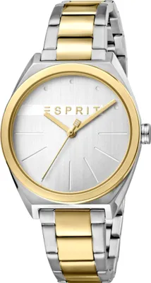 Obrázek produktu pro Dámské hodinky Esprit ES1L056M0075 stříbrné