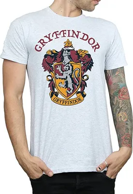 Produktbild von Harry Potter - T-Shirt für Herren BI1468 (XL) (Grau)