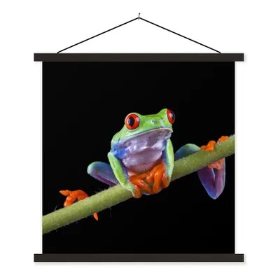 Produktbild von MuchoWow® Textilposter Frosch - Pflanze - Schwarz 90x90 cm mit schwarzem Rahmen - Magnetisches