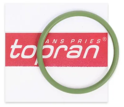 Produktbild von TOPRAN Turbolader-Dichtung Ölauslass für VW GOLF VI (5K1) Golf V Schrägheck (1K1) POLO (9N) Polo Schrägheck (6R1, 6C1) TOURAN (1T1, 1T2) TIGUAN (5N)
