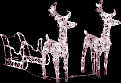 Immagine prodotto di Decorazione Natalizia Renne e Slitta 160 LED 130 cm in Acrilico