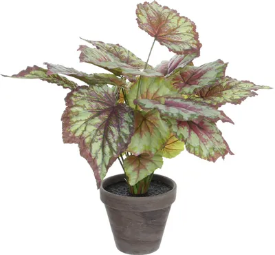 Produktbild von Mica Decorations Begonie Kunstpflanze - H40 x Ø38 cm - Rot