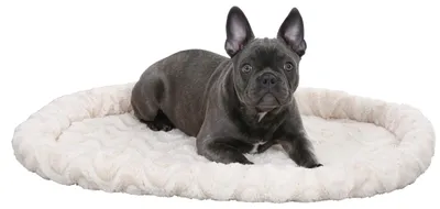 Produktbild von Kuscheltierbett Katzenliegebett Katzenkissen - 52 x 42 x 6 cm - Plüschliegeplatz für Katzen
