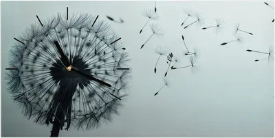 Produktbild von Wanduhr aus Glas mit Motiv Pusteblume im Wind- 60 x 30 cm - inkl. Aufhängesystem