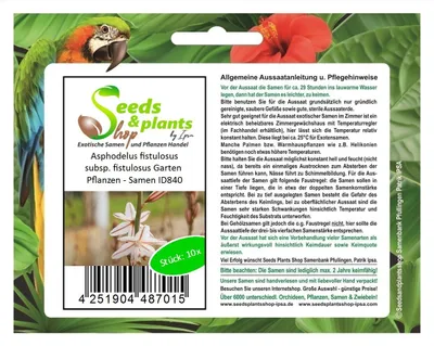 Produktbild von 10x Asphodelus fistulosus subsp. fistulosus Garten Pflanzen - Samen ID840
