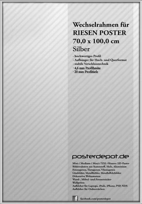 Produktbild von Bilderrahmen f. Riesen Poster - Größe 70 x 100 cm - Antireflex Acrylglas