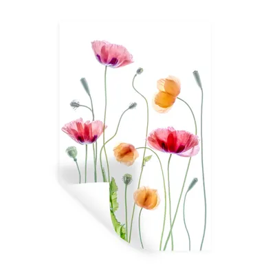Produktbild von MuchoWow® Wandtattoo Wandsticker Wandaufkleber Mohn - Blumen - Frühling - Weiß 80x120 cm Selbstklebend und Repositionierbar - Repositionierbar - Wasser abweisend