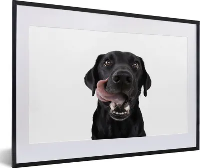 Produktbild von MuchoWow® MuchoWow® Gerahmtes Poster Hund - Schwarz - Lecken 60x40 cm - Poster mit zchwarzem Bilderrahmen - Schlafzimmer - Plakat in Rahmen - Drucken