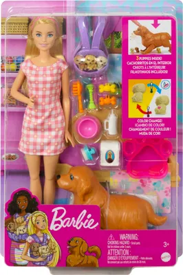 Obrázek produktu pro Barbie HCK75, Módní panenka, Ženy, 3 rok/roky, Dívka, 298,4 mm, 300 g